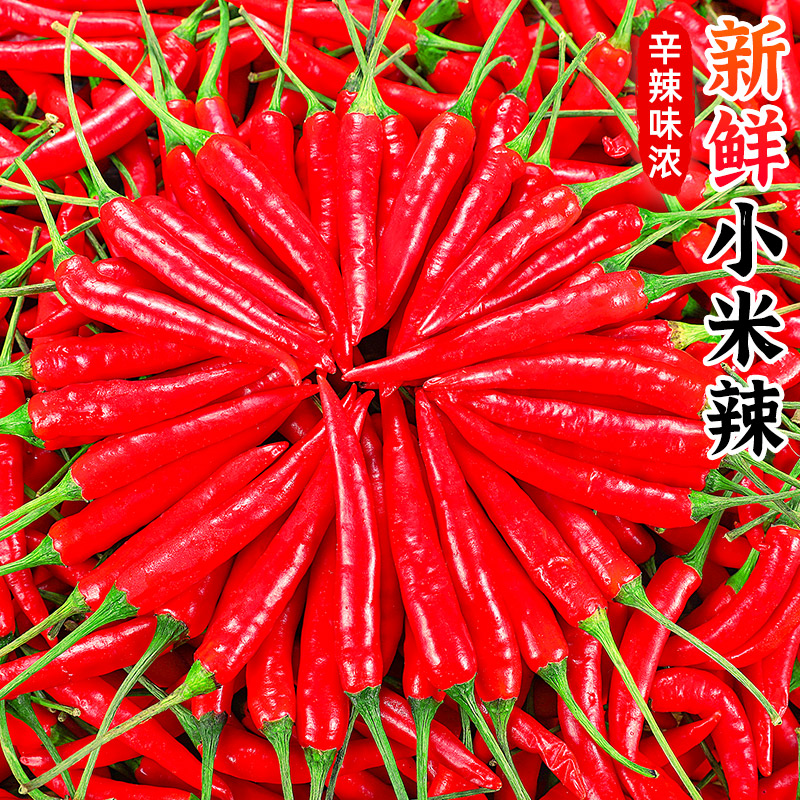 【辛辣味浓】红小米辣1-5斤红辣椒小尖椒泡椒剁椒红辣子新鲜蔬菜