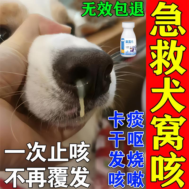 狗狗流黄脓鼻涕犬窝咳狗狗感冒发烧咳嗽呕吐犬瘟克星增强免疫专用