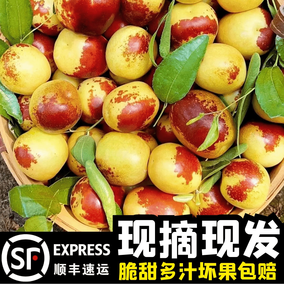 【枣农补贴】沾化脆甜冬枣新鲜枣子大果红枣当季孕妇水果枣整箱包邮