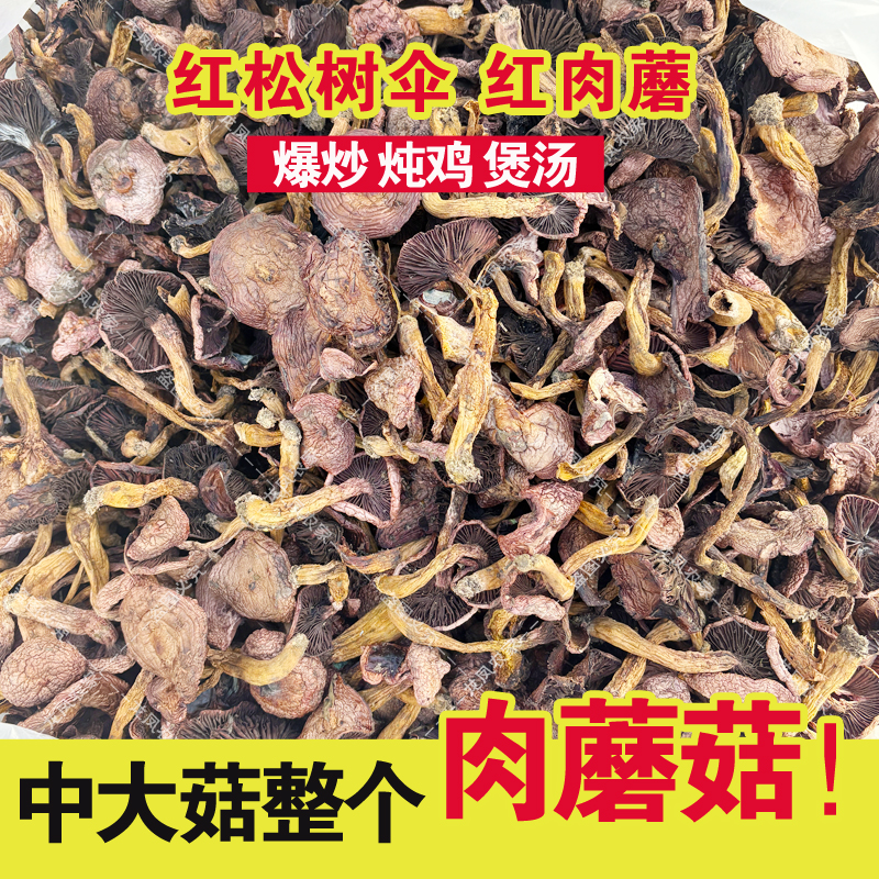 肉蘑承德农家野生红肉蘑菇松树伞蘑菇干货煲汤菌爆炒蘑菇卤汤食材