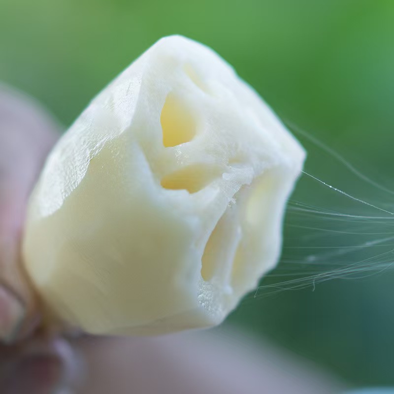 洪湖脆藕新鲜现挖青泥巴脆藕带泥发货 凉拌清炒生吃脆甜 脆嫩无渣