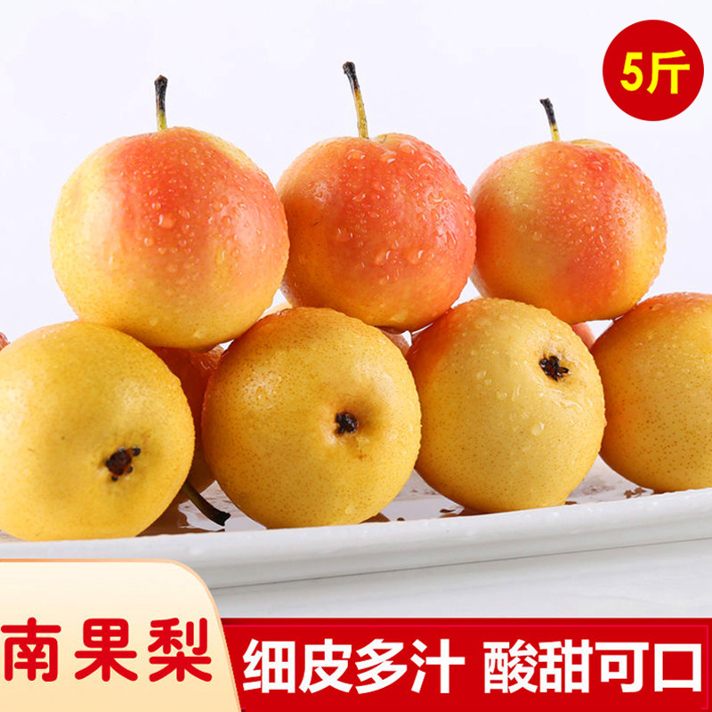 鞍山南果梨南国梨软梨5斤包邮大屯英不落安果梨东北特产香水梨