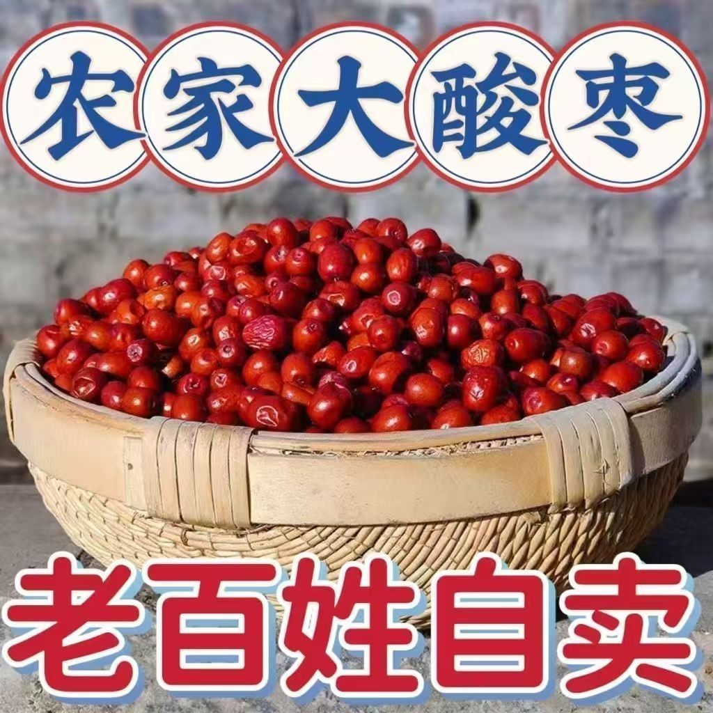 【老树大酸枣】山西特产酸枣新鲜野山枣孕妇休闲健康零食酸甜解馋果