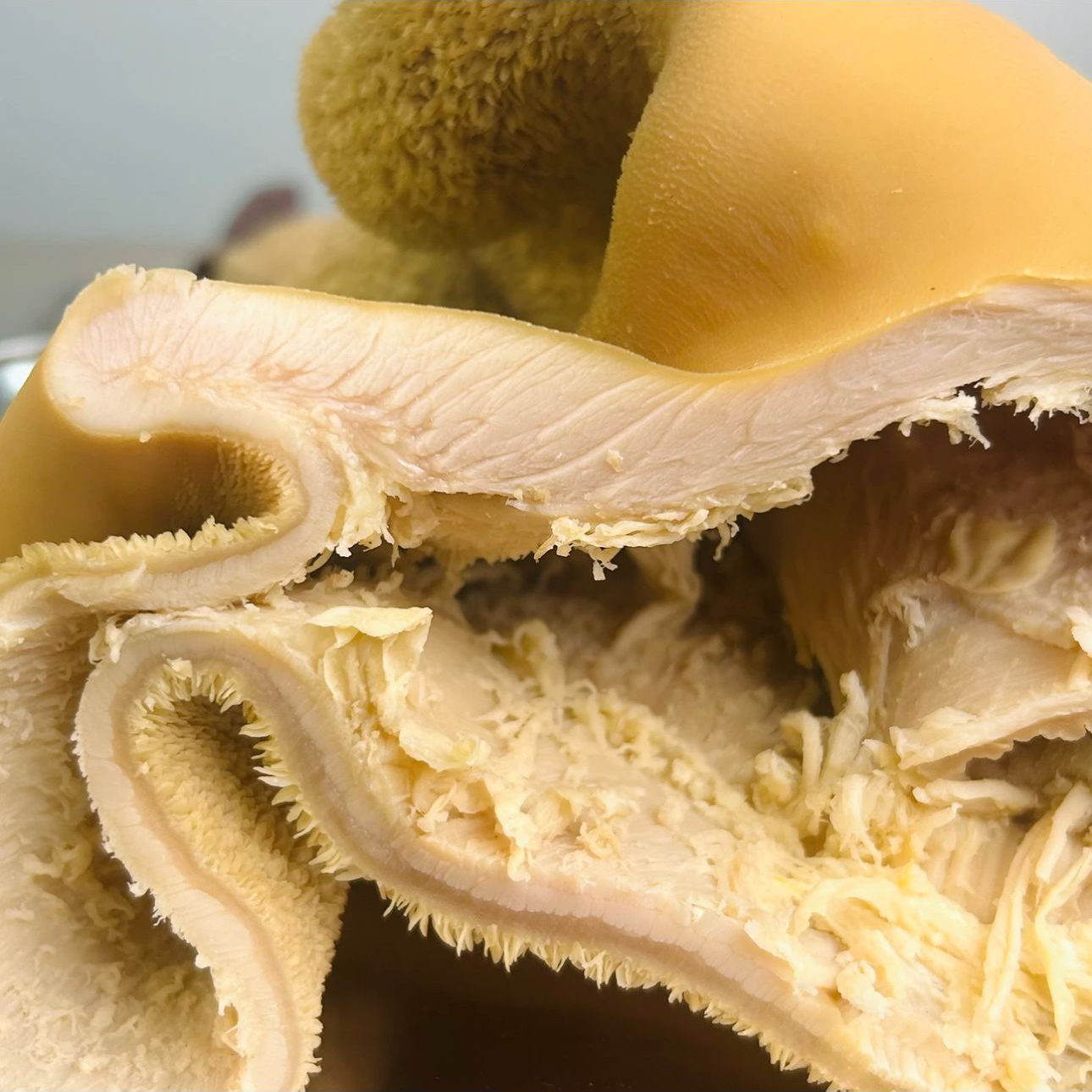 【五香牛肚】太康马头牛肉 传统地锅牛肉 五香牛肚 凉拌爽口