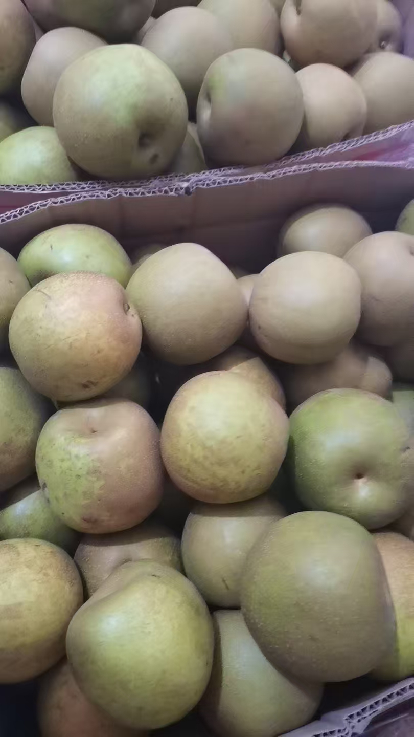固始老家老口味青皮梨