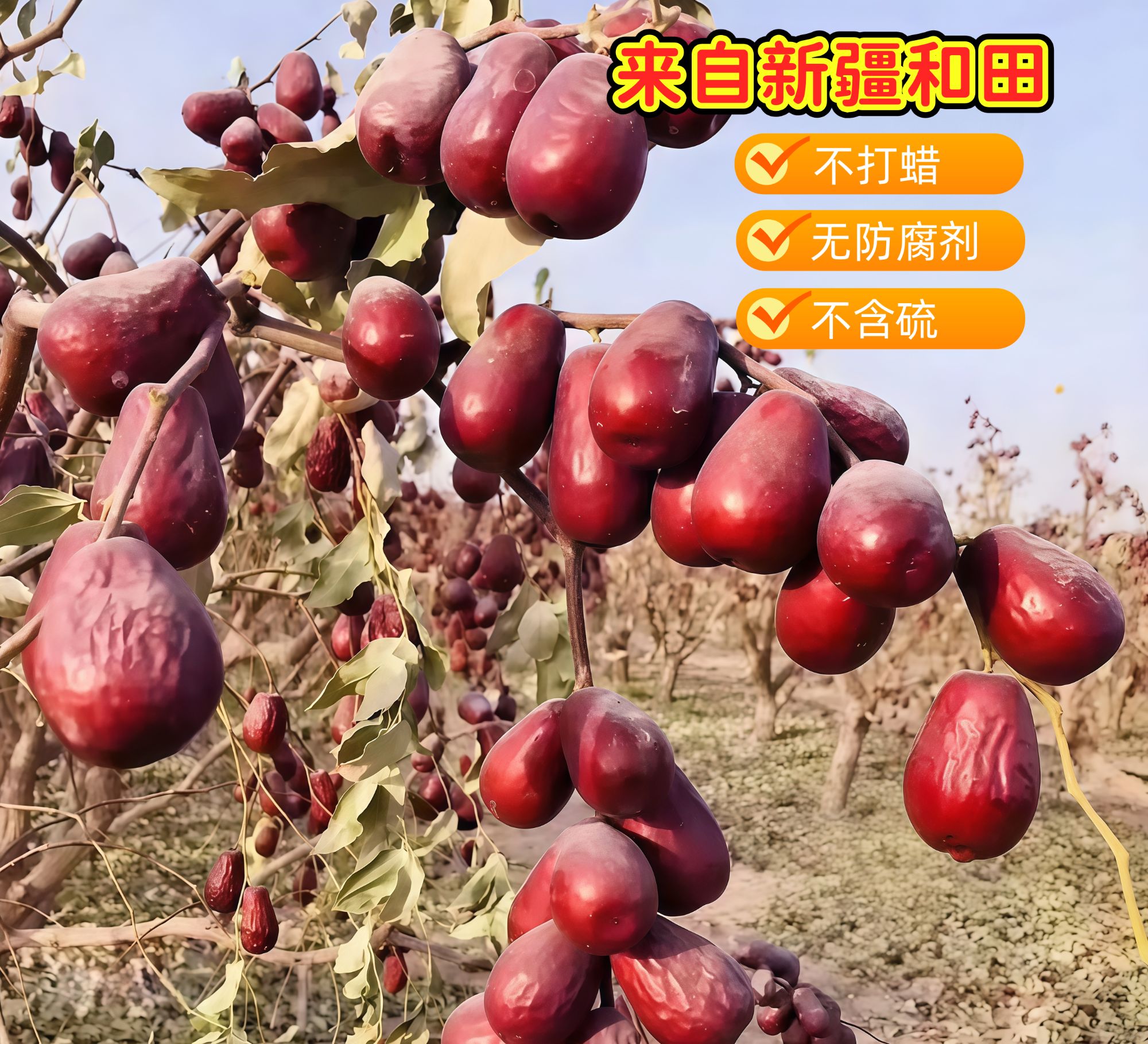 全国包邮正宗新疆和田大枣100%正宗带土带灰吊干【新疆和田大红枣