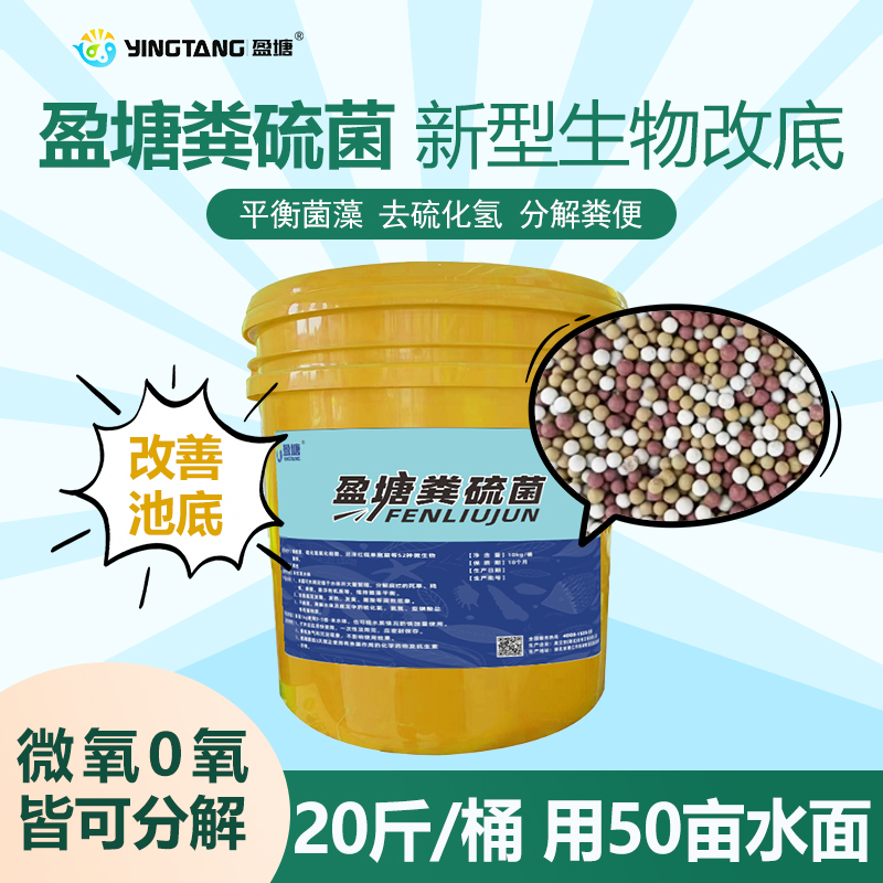 粪硫菌新型生物改底水产 除臭除黑除底热分解有机质硫化氢20斤装