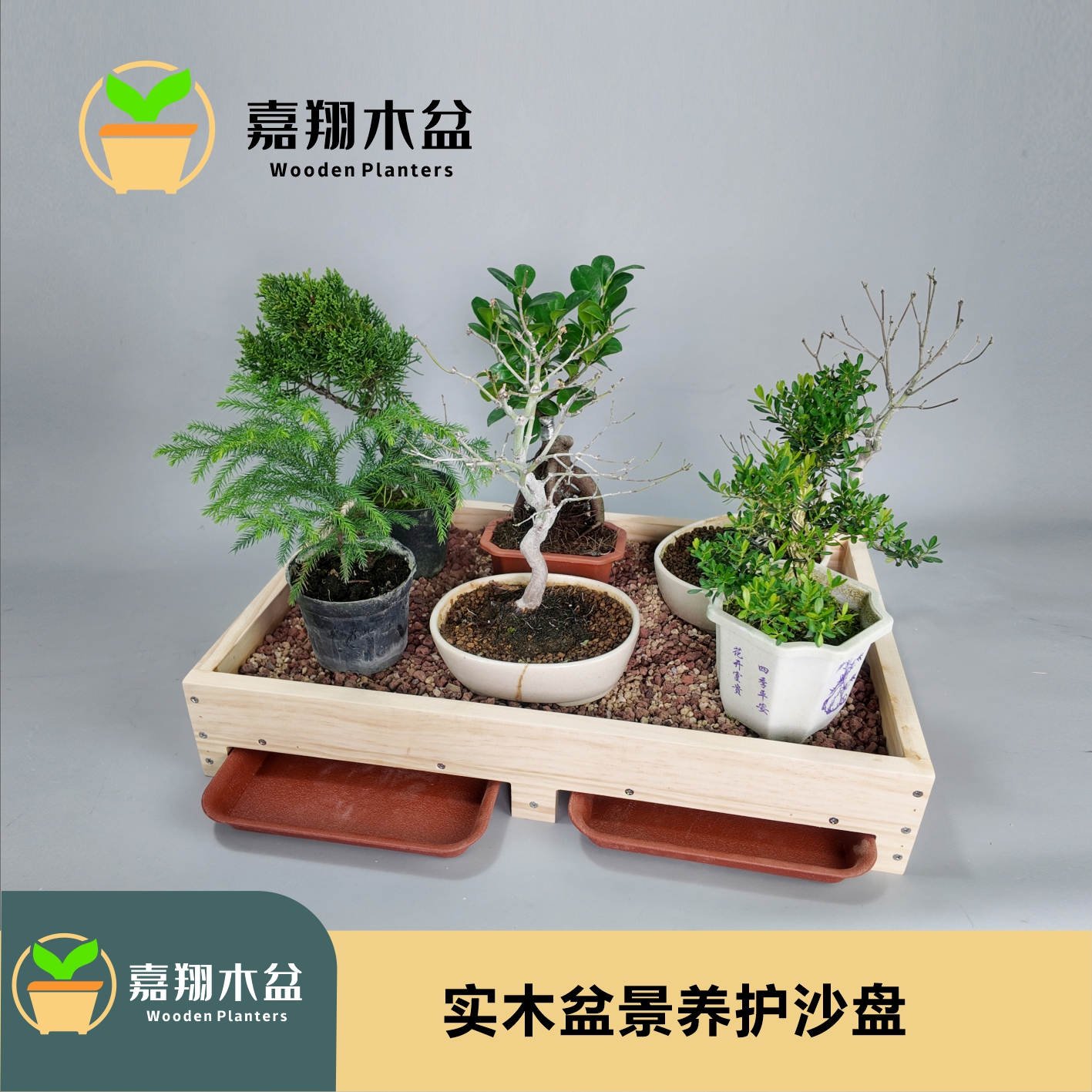 小盆景养护接水松柏多肉栽培盆促生根防积水加厚加密保湿透气沙盘