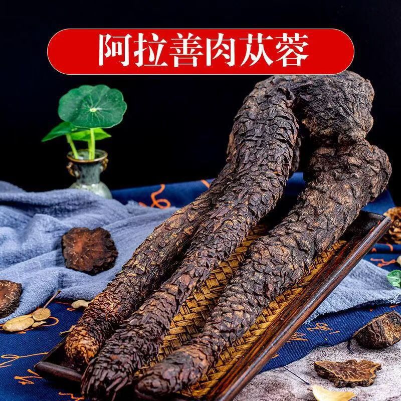 内蒙古阿拉善荒漠肉苁蓉沙漠大芸整根正品可切片泡酒泡水