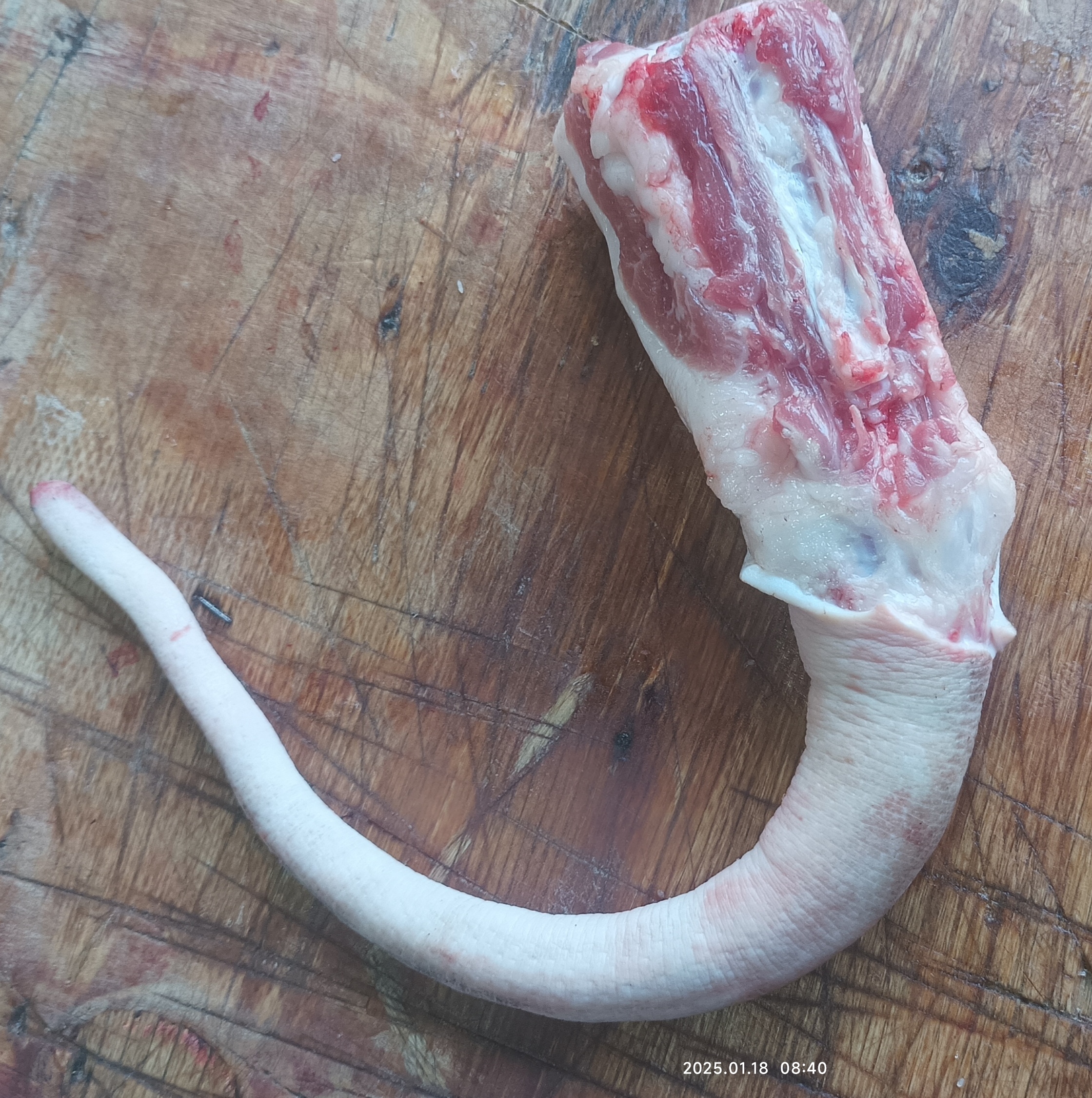 新鲜粮食黑毛土猪尾巴去毛长尾巴农家散养土猪尾巴土猪肉黑猪肉