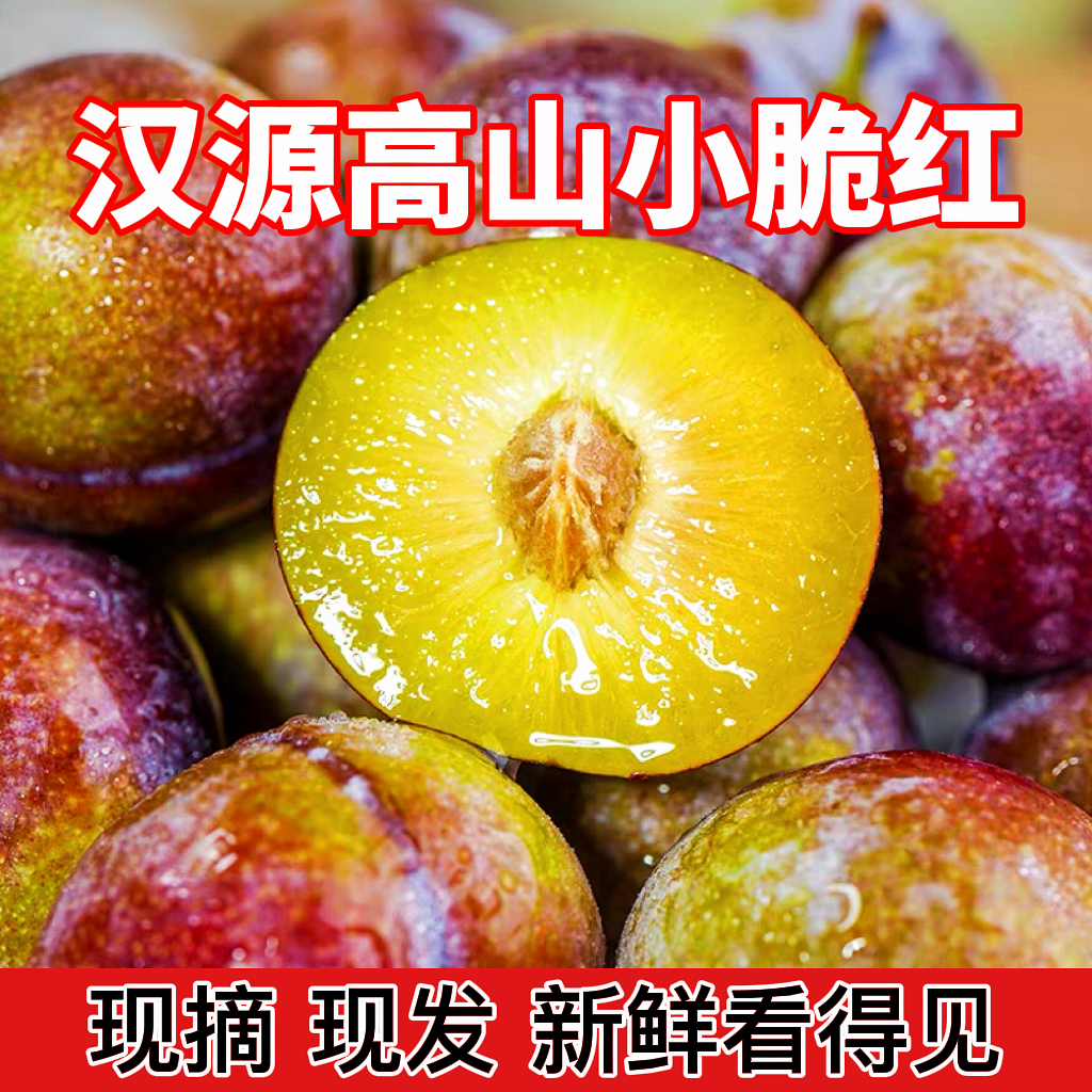 四川李子蜂糖李脆李子汉源高山脆红李脱骨李珍珠李脆李九寨沟爷爷