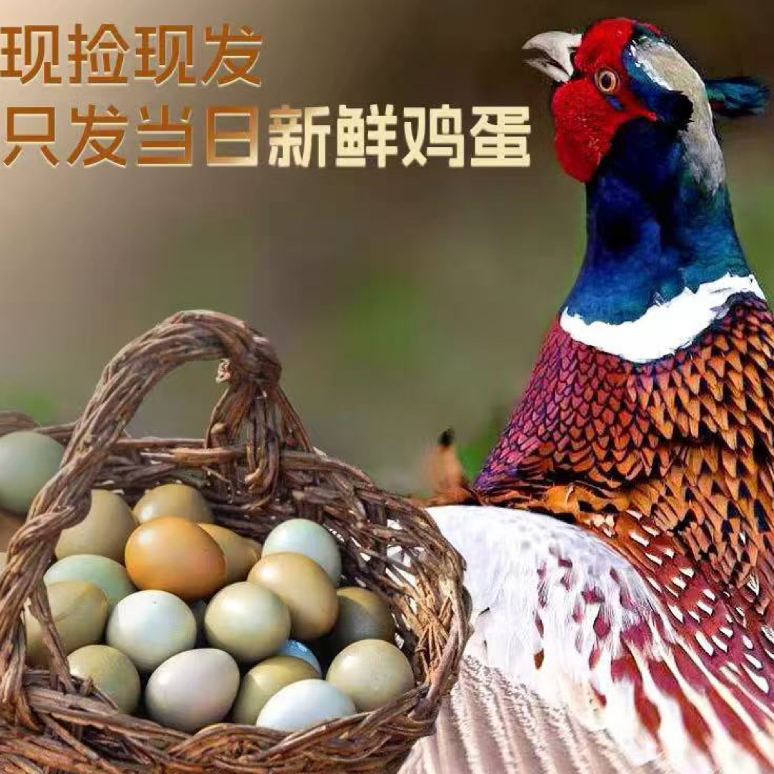 新鲜正宗户外散养七彩山鸡蛋适合宝宝辅食月子蛋鸡蛋60枚一整箱