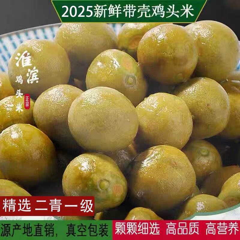 信阳淮滨特产芡实鸡头米鸡头果直径10毫米（一级果）