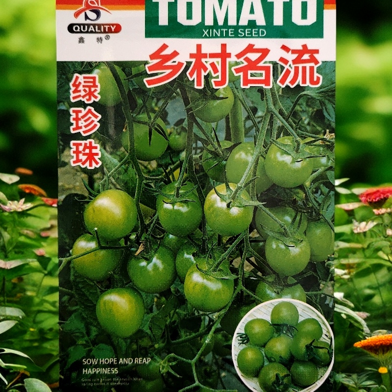 绿珍珠小柿子种子