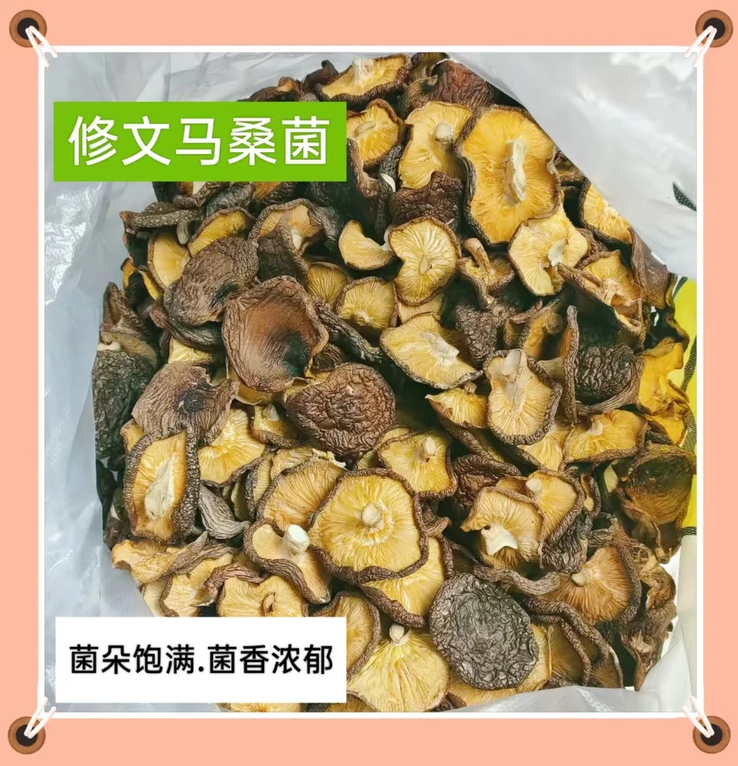马桑菌 贵州修文马桑菌 家庭囤货装500克