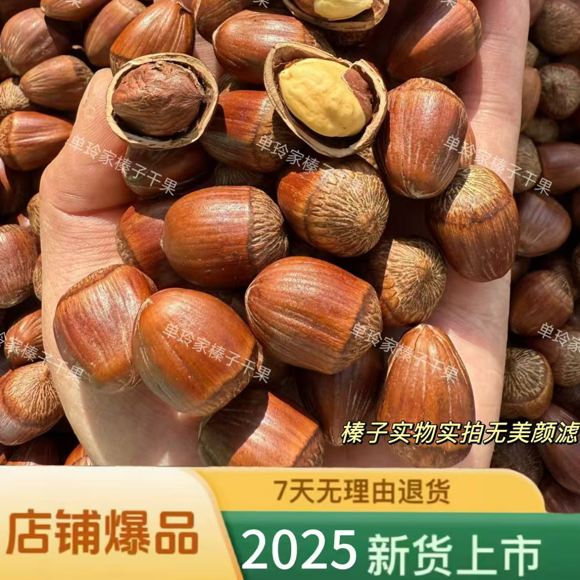 大果榛子（熟）试吃二两 闭口 送钳子