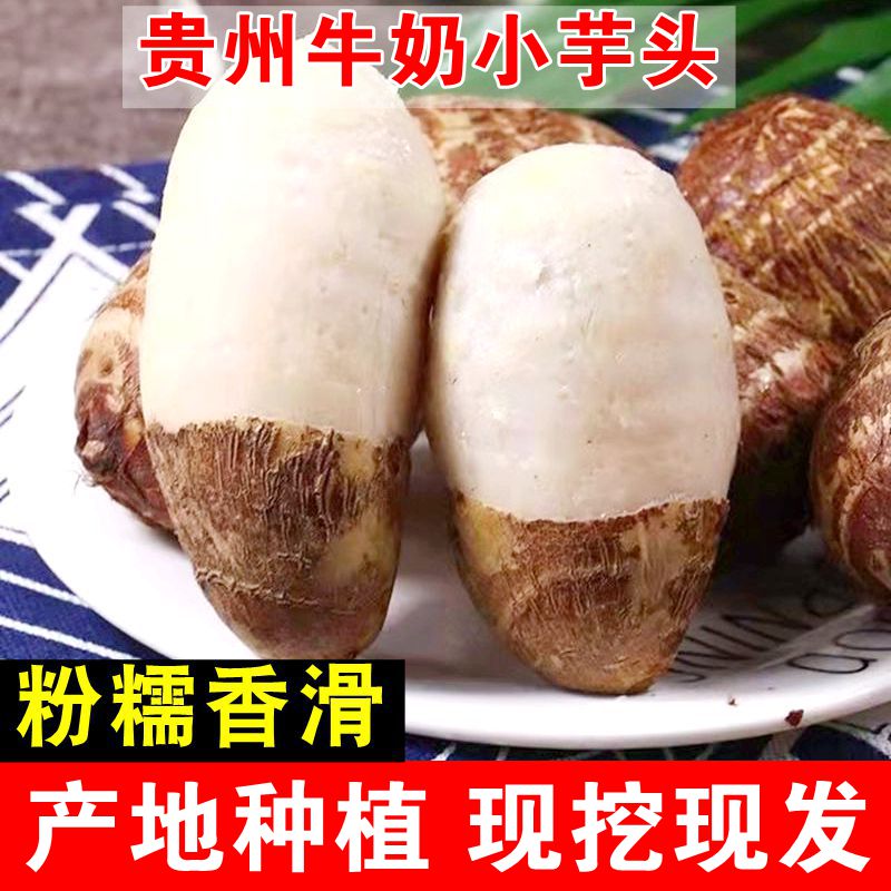 现挖芋头贵州新鲜小芋头农家芋艿粉糯奶香毛芋头芋儿仔芋软糯香芋