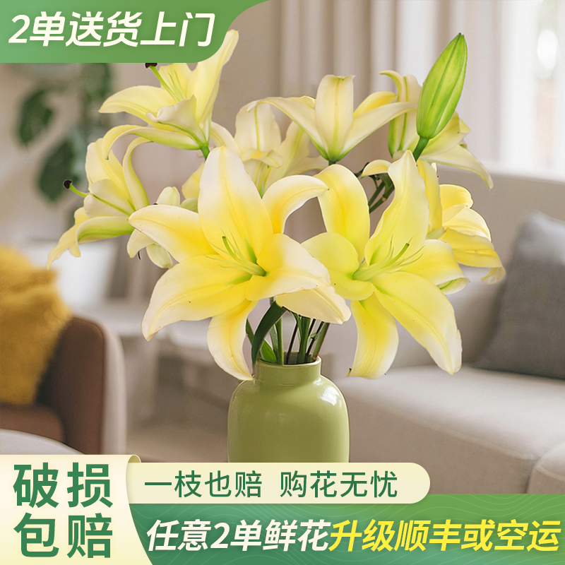 【大聪明卖花】黄天霸香水百合-任意两单鲜花升级快递-元旦福利