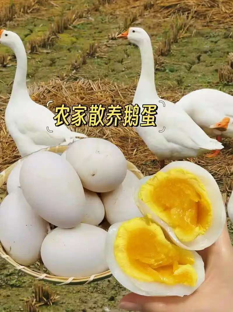 20枚农家散养新鲜土鹅蛋雁鹅蛋营养健康适合孕妇宝宝
