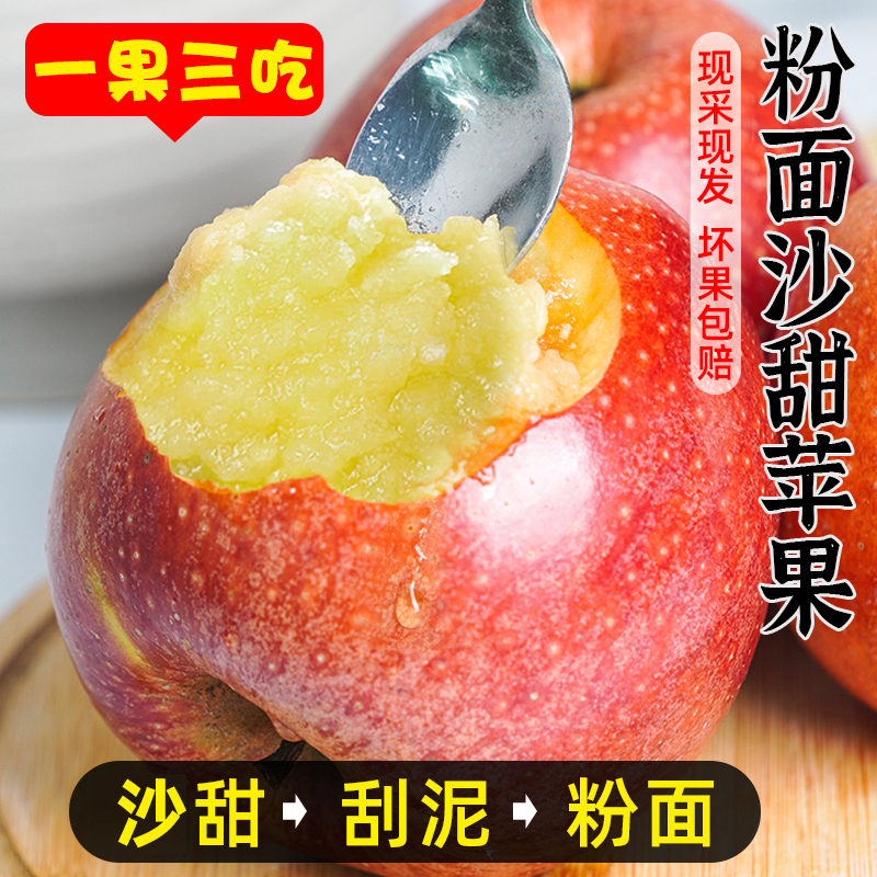 陕西秦冠粉面苹果5-9斤装沙甜糯刮泥新鲜老品种苹果产地直发