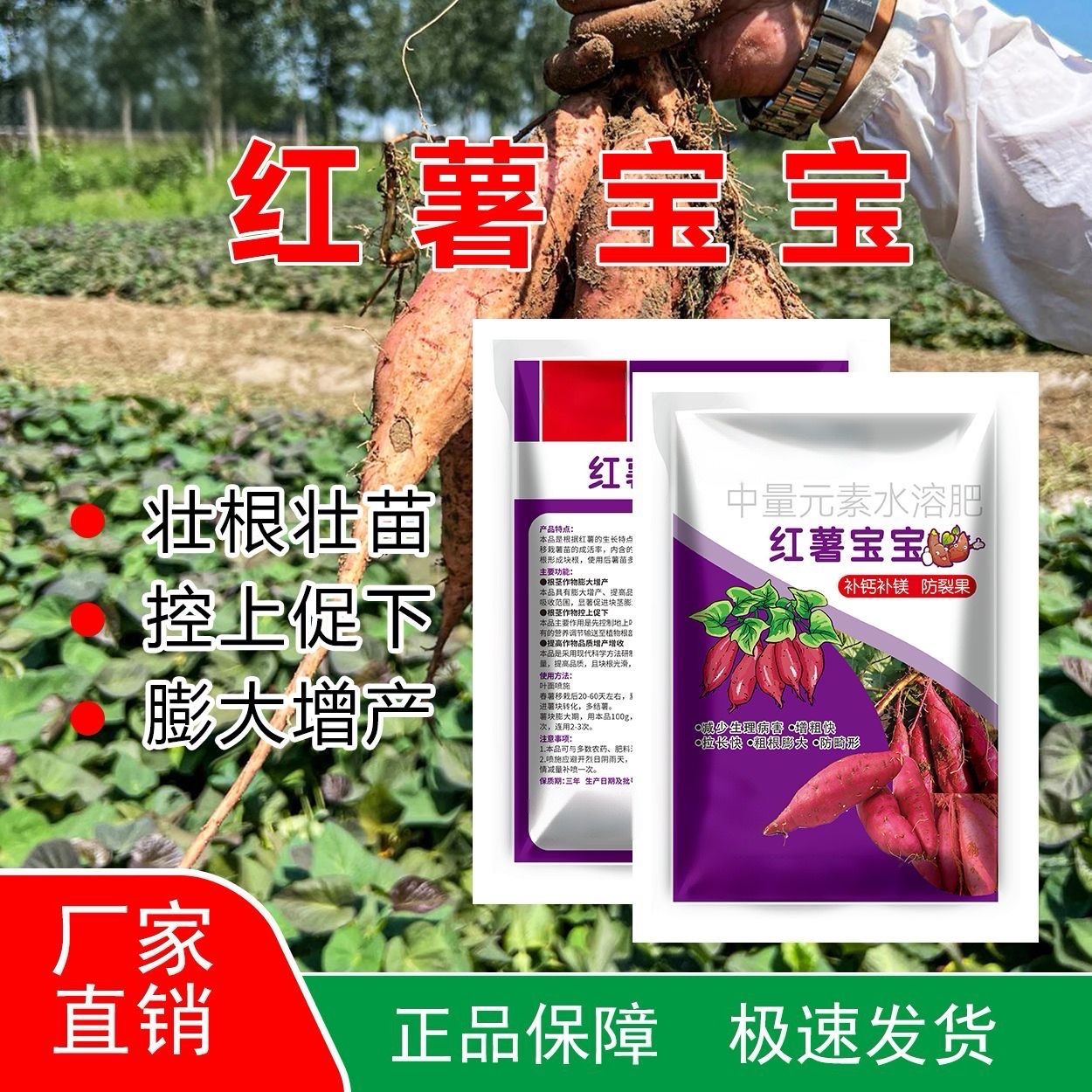 红薯宝宝番薯宝宝正品进口快速膨大素防裂专用补钙补镁控上促下