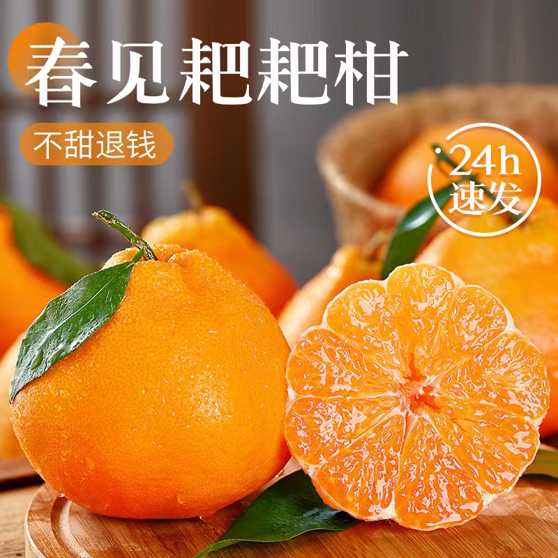 正宗四川春见耙耙柑香甜应当季水果整箱非丑橘桔子3- 8斤净重包邮