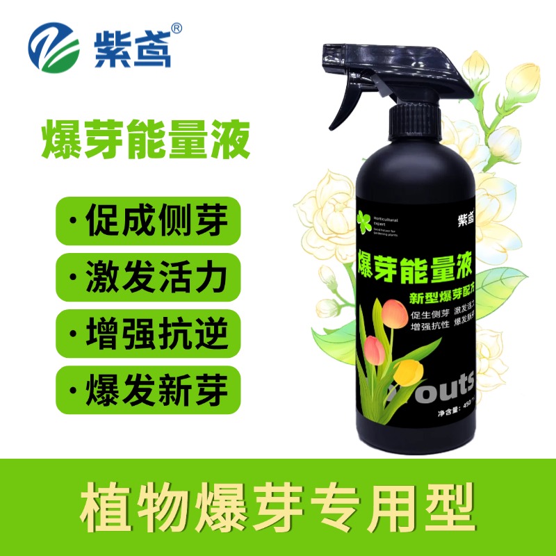 正品爆芽原液多芽促芽催芽分化适用叶插花植物多肉绿植肥料