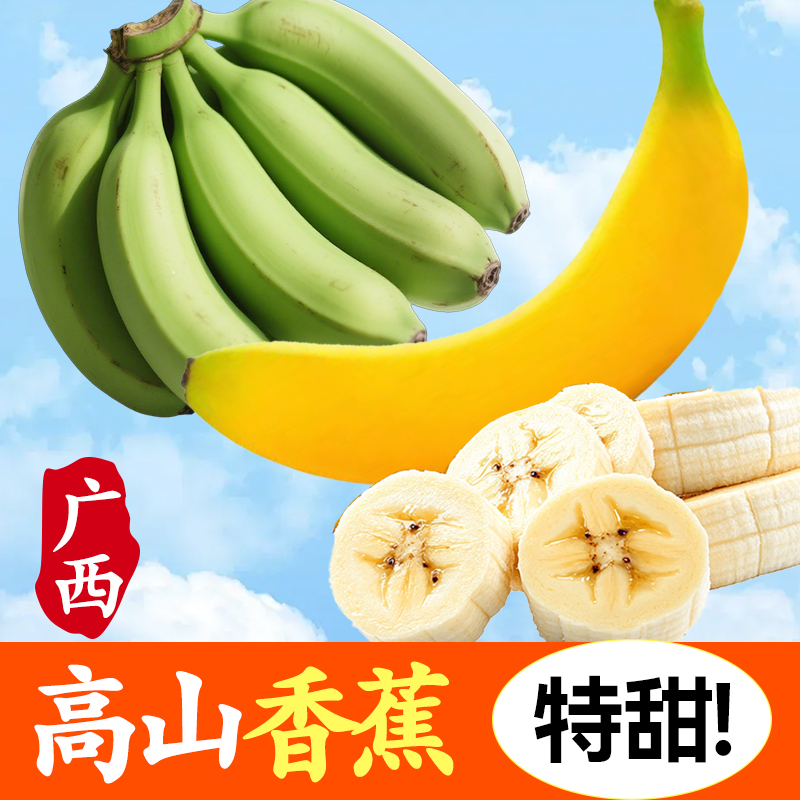 广西高山香蕉现摘当季新鲜水果青皮青香蕉发货一整箱