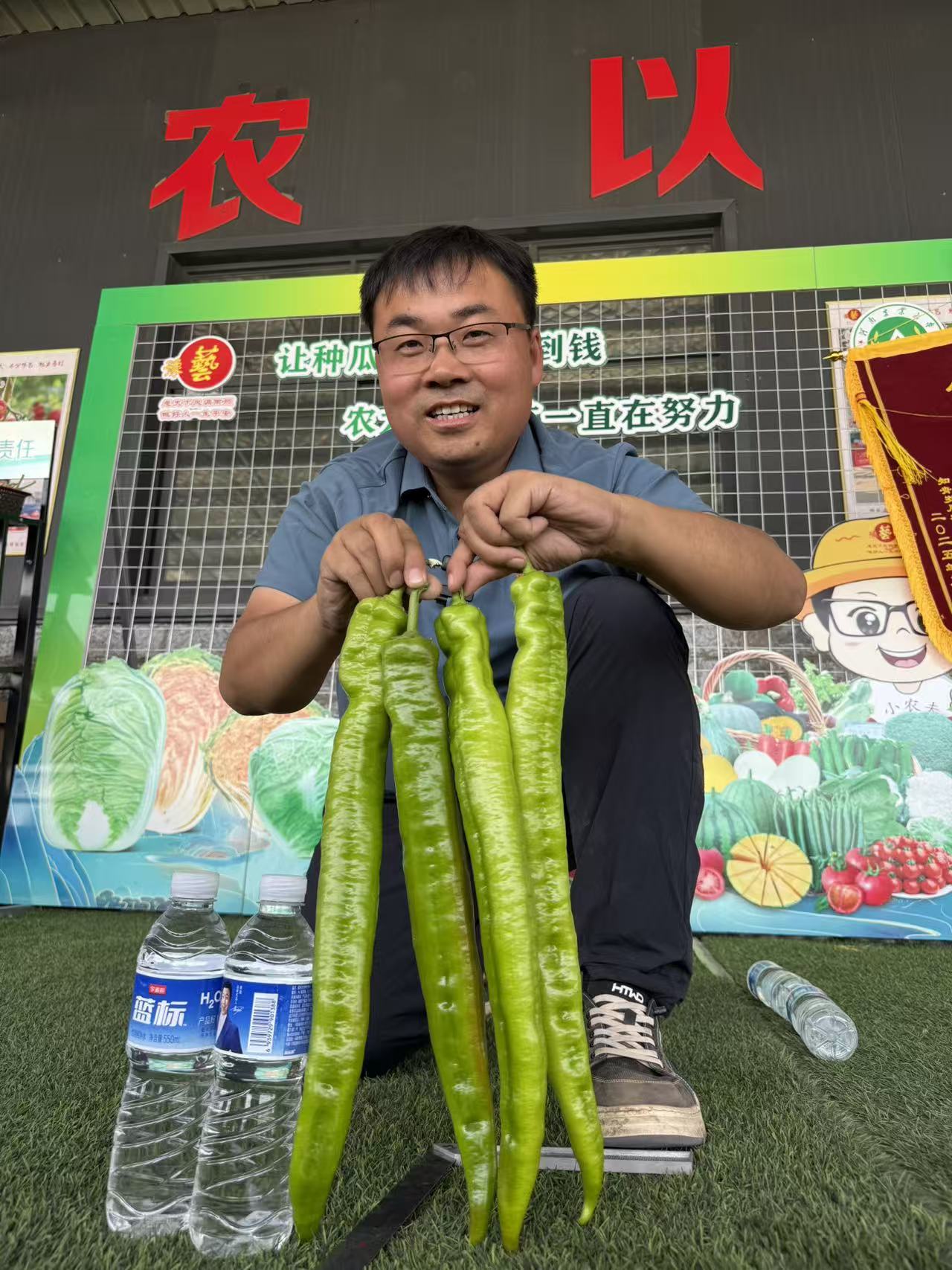 豫艺华之秀218长果羊角椒种子，超长尖椒 新品种抢先试种 100粒装