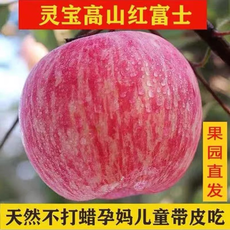 包邮河南灵宝特产红富士苹果高山红富士脆甜多汁天然富硒产地直销