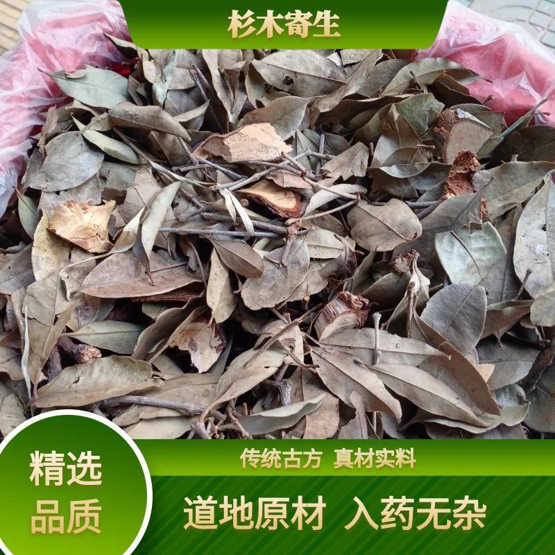 广西壮乡野生杉树寄生正宗杉寄生无硫杉木益母草杉寄杉寄生茶干货