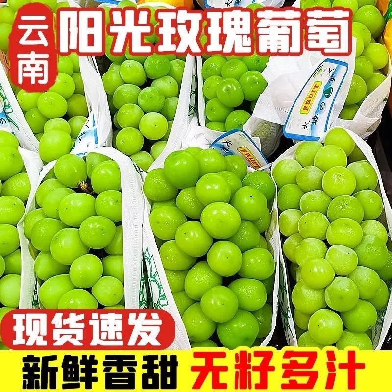 【顺丰包邮】云南阳光玫瑰3/5斤晴王葡萄无籽香印青提当季新鲜水果