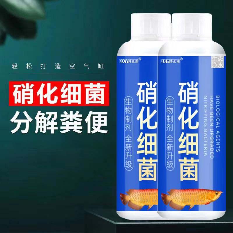 硝化细菌降解氨氮活性硝化细菌鱼缸净水剂稳定水族用品养鱼常备