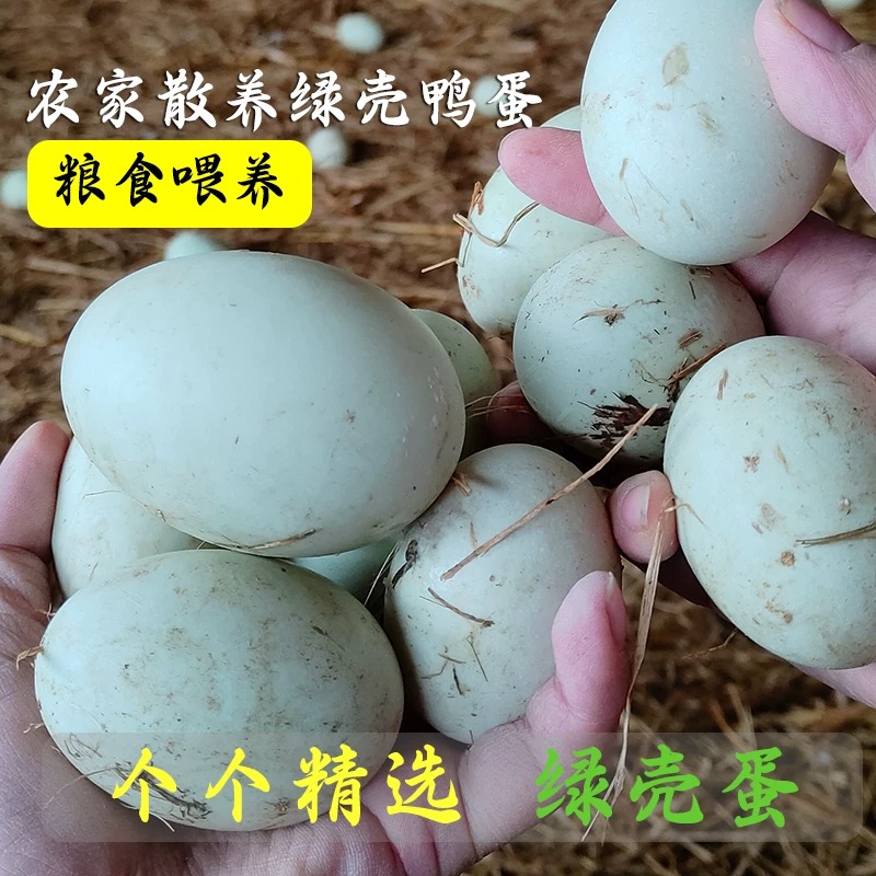 正宗农家散养新鲜鸭蛋生鸭蛋土鸭蛋批发农家湖里放养鸭蛋原生态