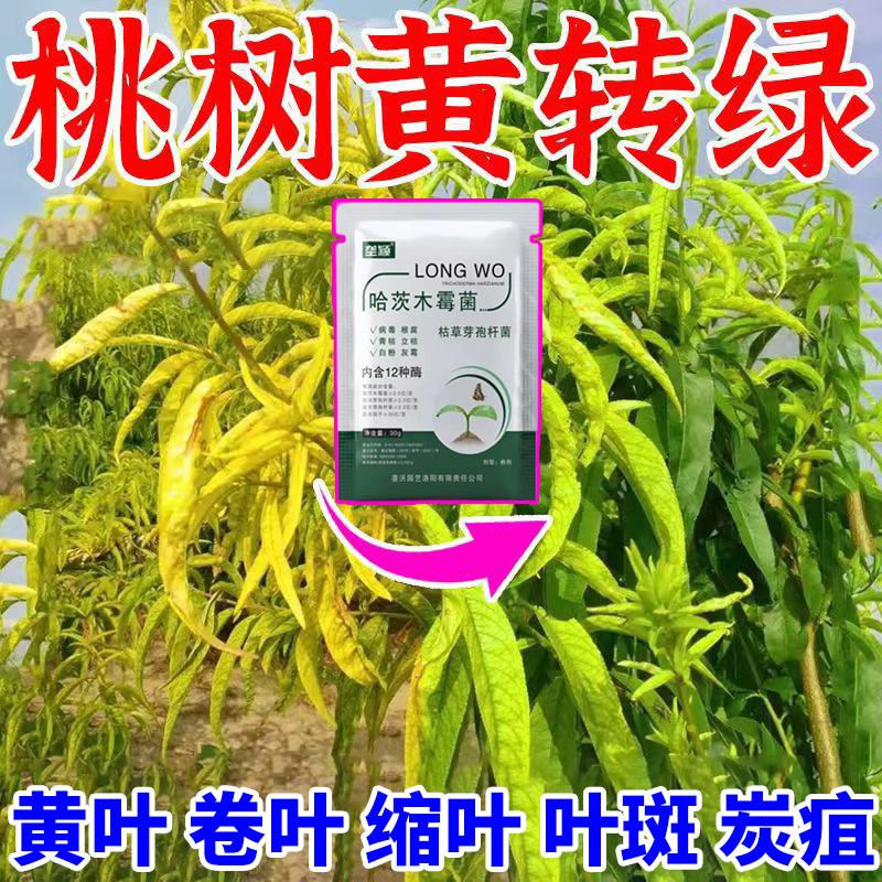 桃树黄叶病专用肥料黄化落叶卷叶缩叶叶斑落花落果腐烂专用叶面肥