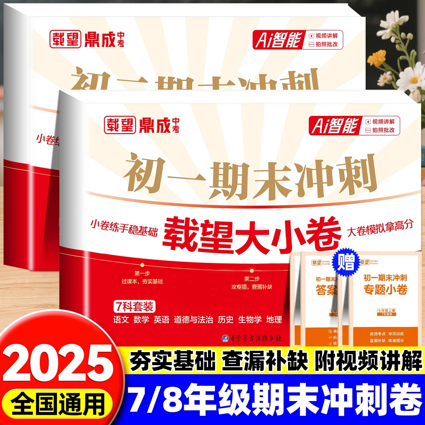 载望大小卷初一初二期末冲刺初中七年级八年级上册期末复习测试卷