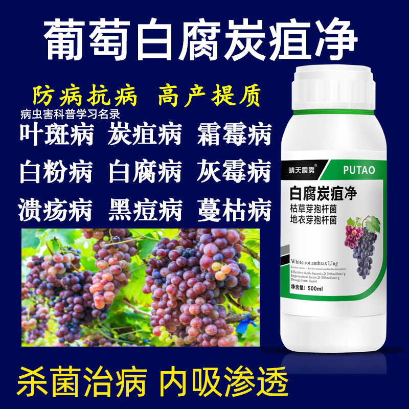葡萄杀菌药白腐病炭疽病黑豆病灰霉病软腐病烂穗病微生物菌剂