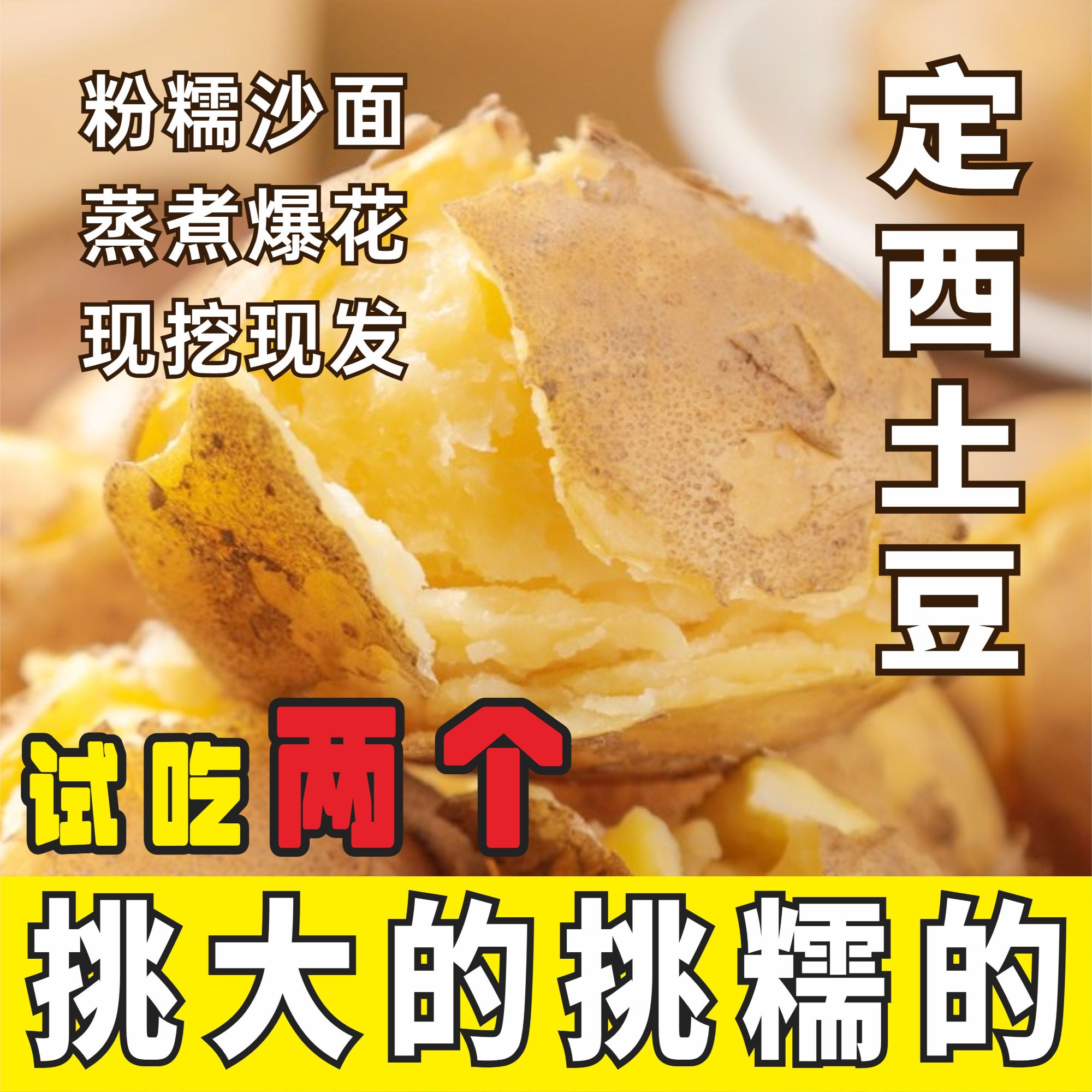 【土豆试吃两个】定西土豆现挖现发粉糯沙黄皮黄心土豆洋芋马铃薯