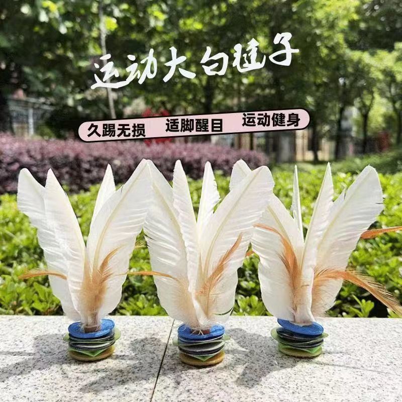燕型大白毽比赛专用成人健身儿童小学生踢腱子羽毛运动鸡毛毽子