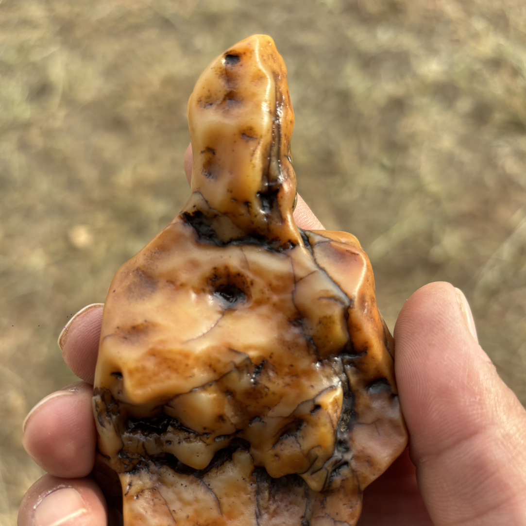 内蒙古乌拉特后旗黄蜡石