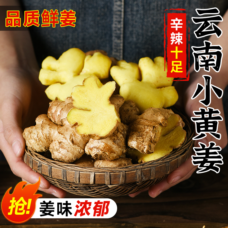 云南正宗小黄姜3斤姜新鲜生姜高山沙姜姜土姜蔬菜农老家自种
