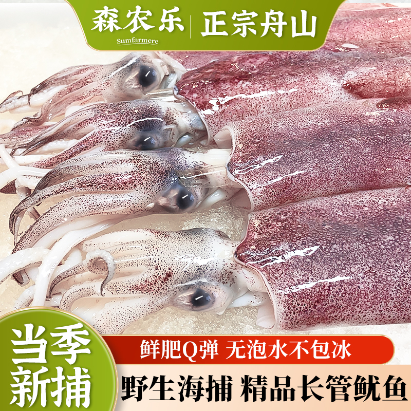 【新鲜个大】舟山大鱿鱼整只2-3条/斤鲜活美味鲜美铁板烧烤海鲜水产