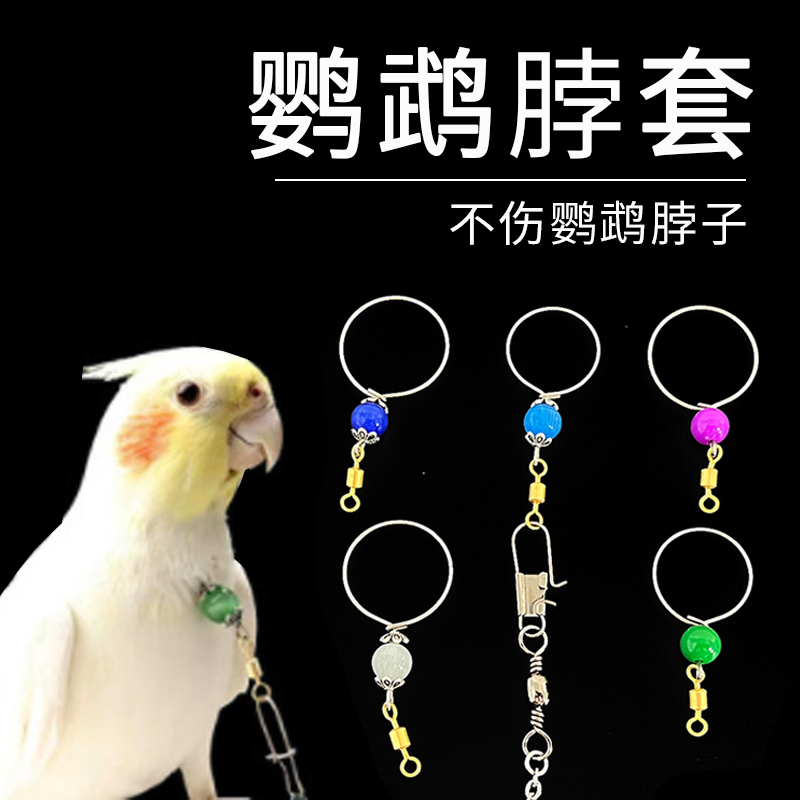 虎皮鹦鹉脖套遛鸟链不锈钢材质玄凤牡丹栓鸟链放飞训练绳脖套链子
