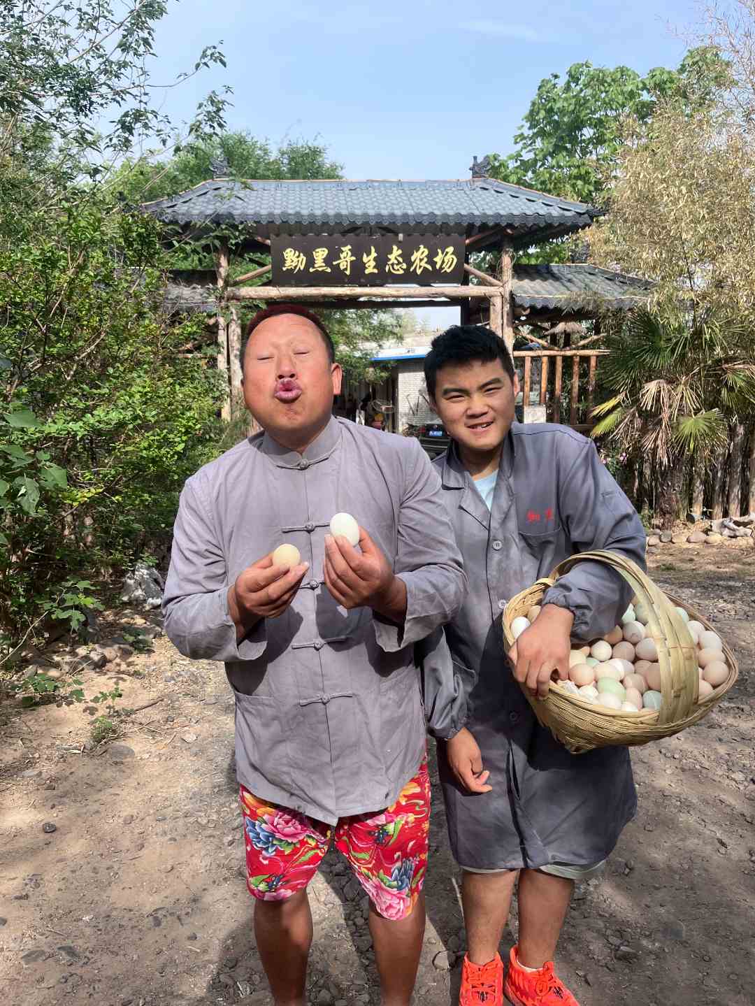 黝黑哥洛阳市黝黑哥农场土鸡蛋