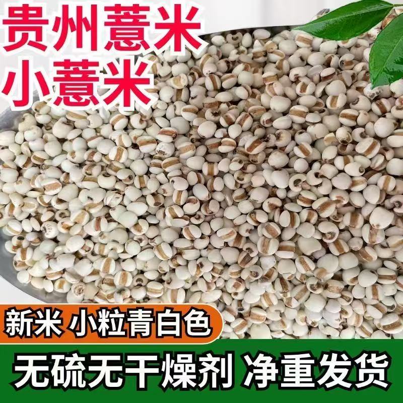 正宗小薏米仁新货特级优质米仁贵州小薏米仁散装豆浆五谷杂粮
