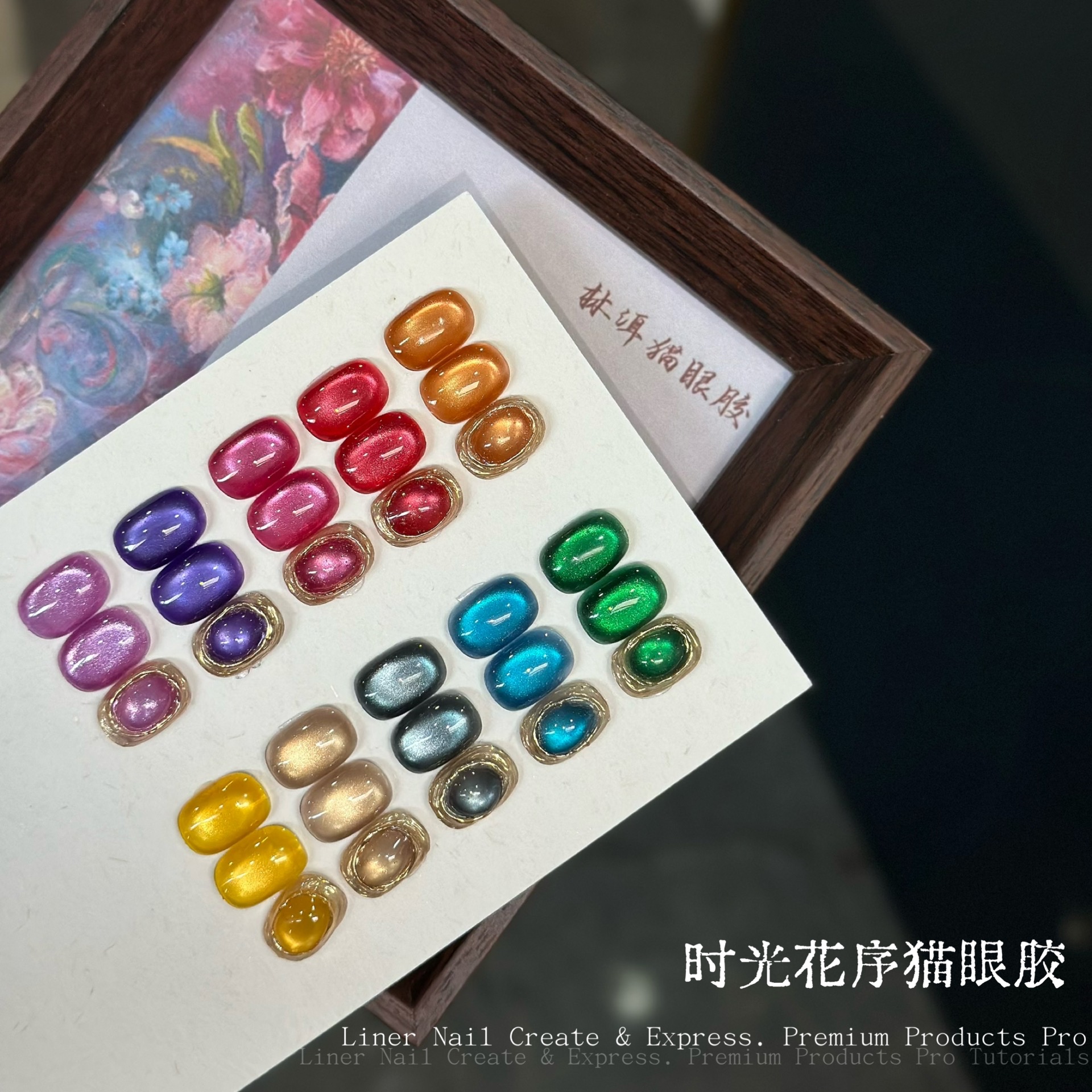 时光花序猫眼胶10色一套彩色猫眼绿色蓝色紫色黄色橙色美甲甲油胶