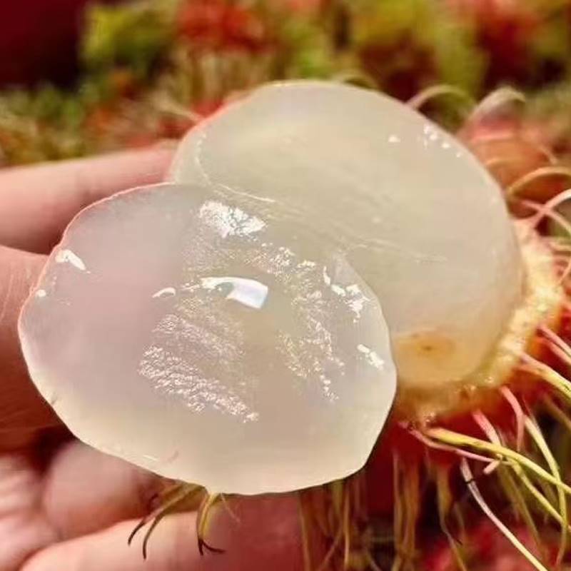 【顺丰包邮】海南红毛丹毛荔枝当季新鲜现摘热带水果鲜甜整箱包邮