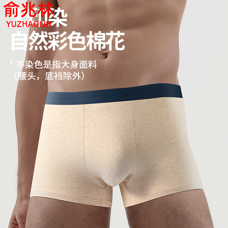 俞兆林纯色彩棉男士内裤纯棉平角裤中腰透气青少年无染色内裤男