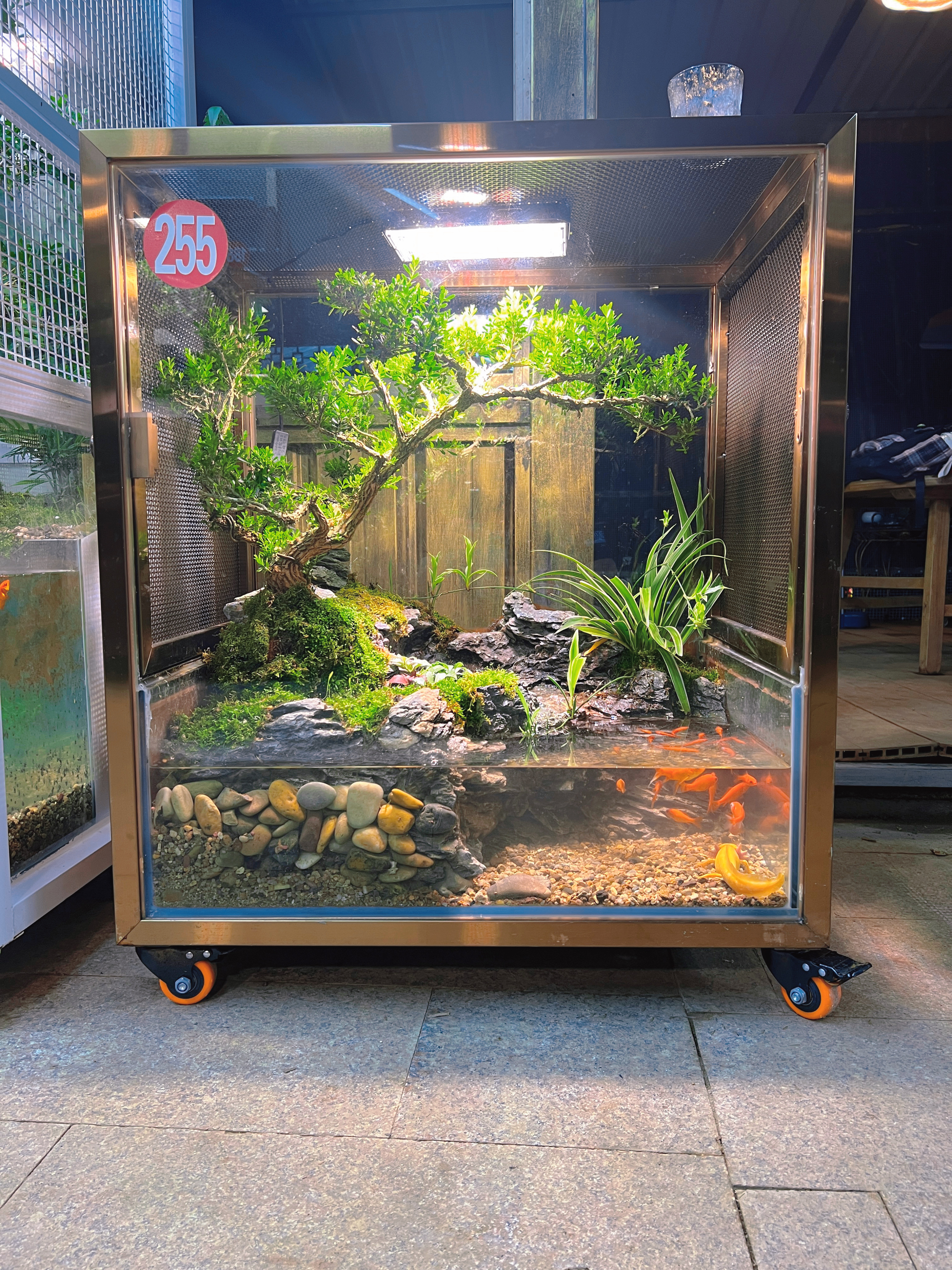 生态鸟笼可养鱼养龟适合室内微景观整装发货大鸟笼