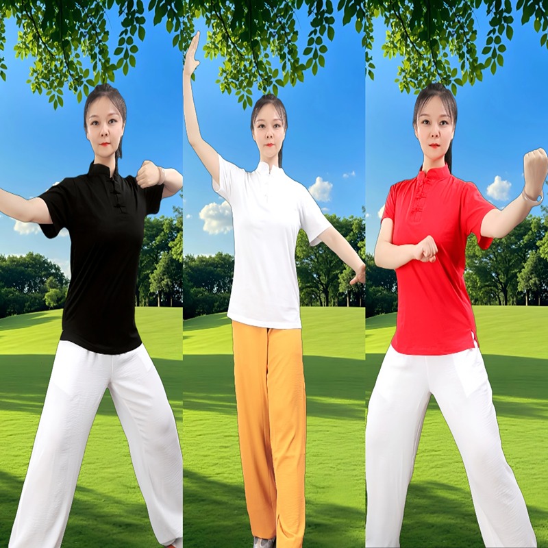 【晓彤老师同款】陈家沟太极T恤男女武术晨练训练团队定制运动